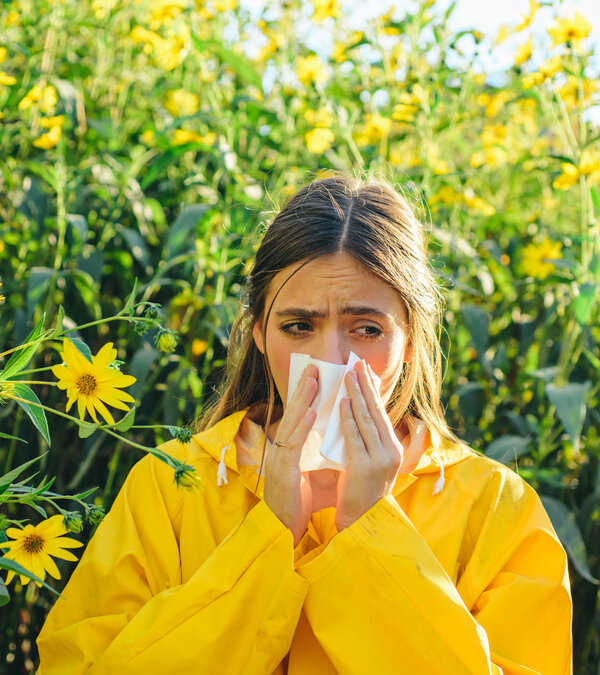 Hay fever & Allegries